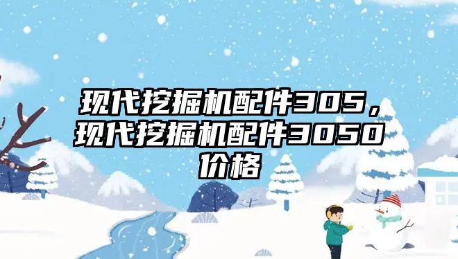 現代挖掘機配件305，現代挖掘機配件3050價格