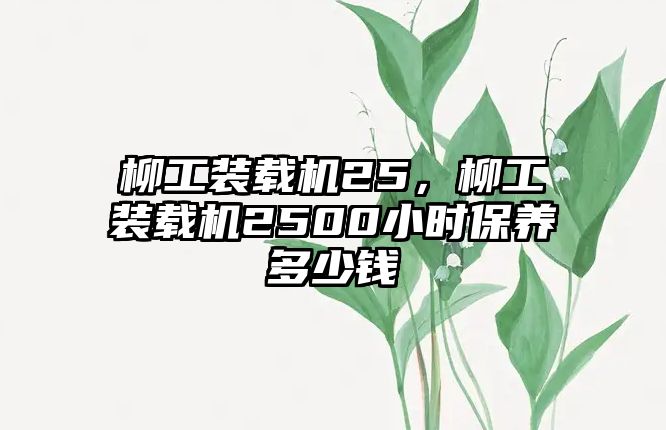 柳工裝載機25，柳工裝載機2500小時保養多少錢