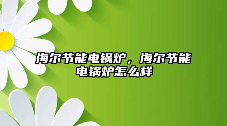 海爾節(jié)能電鍋爐，海爾節(jié)能電鍋爐怎么樣