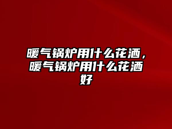 暖氣鍋爐用什么花灑，暖氣鍋爐用什么花灑好