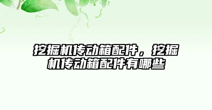 挖掘機傳動箱配件，挖掘機傳動箱配件有哪些