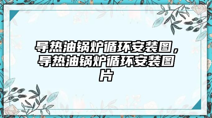 導熱油鍋爐循環安裝圖，導熱油鍋爐循環安裝圖片