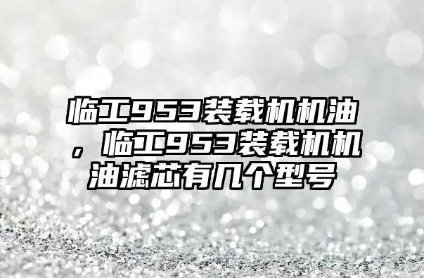 臨工953裝載機機油，臨工953裝載機機油濾芯有幾個型號