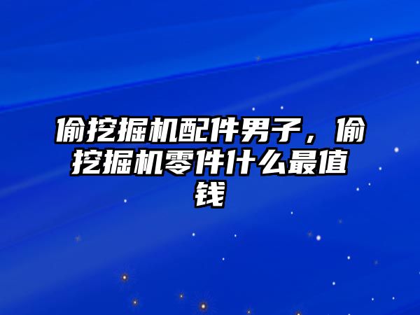 偷挖掘機配件男子，偷挖掘機零件什么最值錢