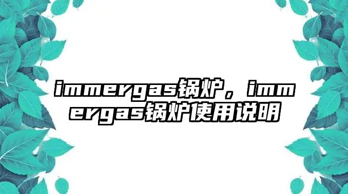 immergas鍋爐，immergas鍋爐使用說明