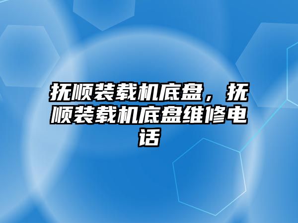 撫順裝載機底盤，撫順裝載機底盤維修電話