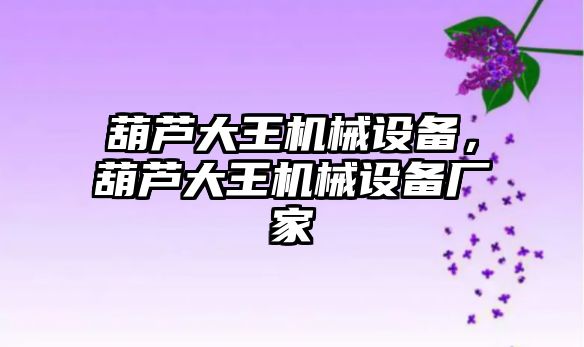 葫蘆大王機械設(shè)備，葫蘆大王機械設(shè)備廠家