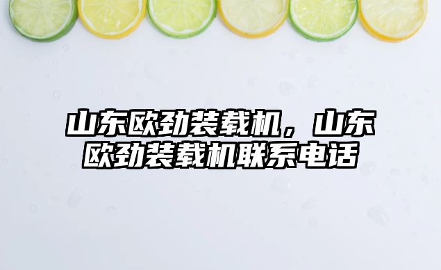 山東歐勁裝載機，山東歐勁裝載機聯系電話