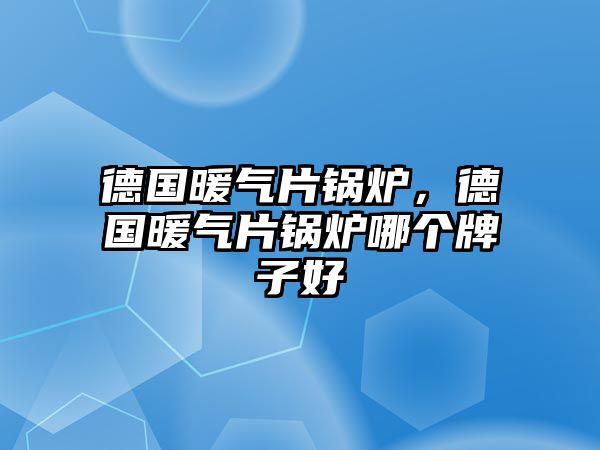 德國暖氣片鍋爐，德國暖氣片鍋爐哪個牌子好