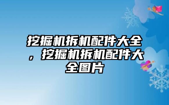 挖掘機拆機配件大全，挖掘機拆機配件大全圖片