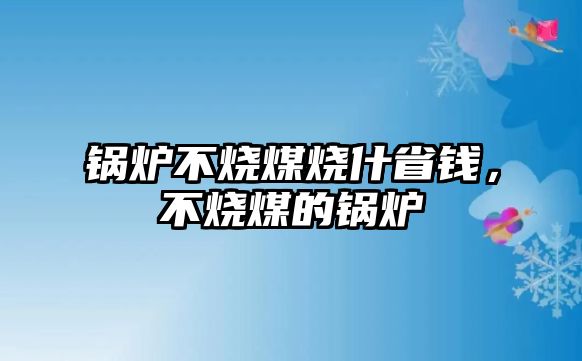 鍋爐不燒煤燒什省錢，不燒煤的鍋爐