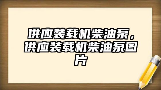 供應裝載機柴油泵，供應裝載機柴油泵圖片