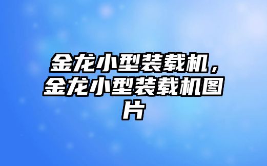 金龍小型裝載機，金龍小型裝載機圖片