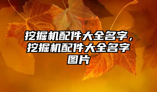 挖掘機配件大全名字，挖掘機配件大全名字圖片