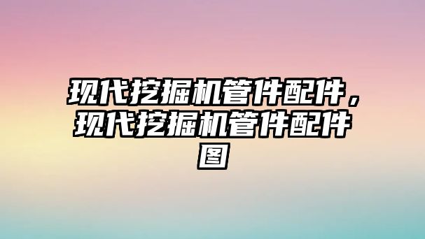 現代挖掘機管件配件，現代挖掘機管件配件圖