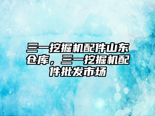 三一挖掘機配件山東倉庫，三一挖掘機配件批發市場