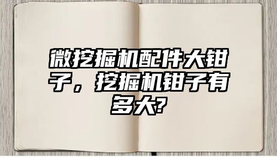 微挖掘機配件大鉗子，挖掘機鉗子有多大?