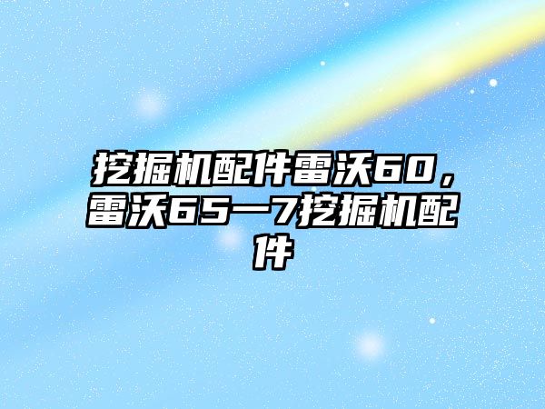 挖掘機配件雷沃60，雷沃65一7挖掘機配件