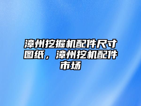 漳州挖掘機配件尺寸圖紙，漳州挖機配件市場