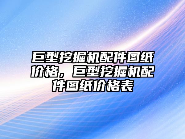 巨型挖掘機配件圖紙價格，巨型挖掘機配件圖紙價格表