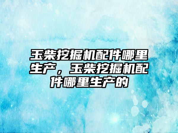 玉柴挖掘機配件哪里生產，玉柴挖掘機配件哪里生產的