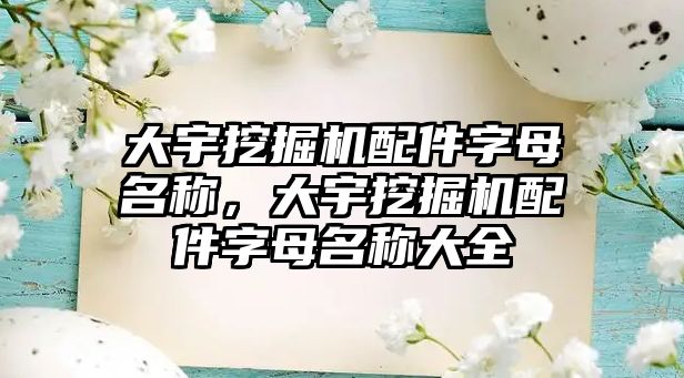 大宇挖掘機配件字母名稱，大宇挖掘機配件字母名稱大全