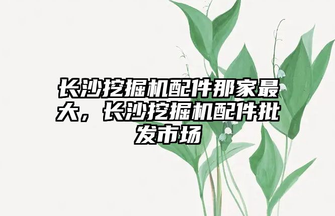 長沙挖掘機配件那家最大，長沙挖掘機配件批發(fā)市場