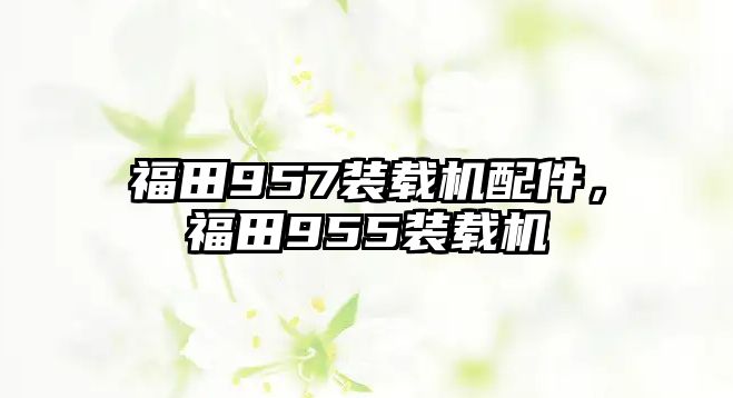 福田957裝載機配件，福田955裝載機