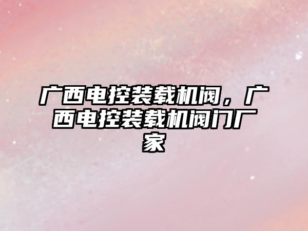 廣西電控裝載機閥，廣西電控裝載機閥門廠家