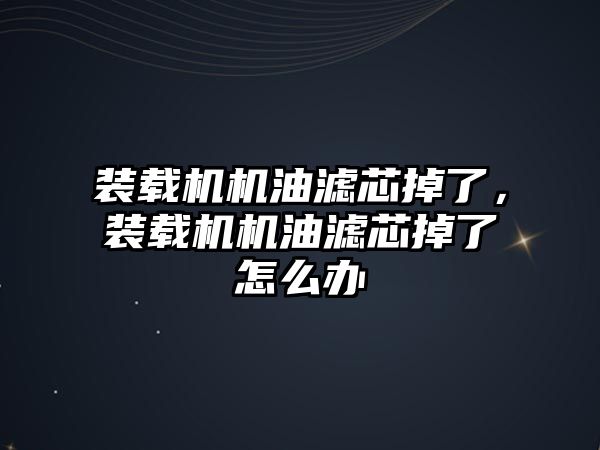 裝載機機油濾芯掉了，裝載機機油濾芯掉了怎么辦