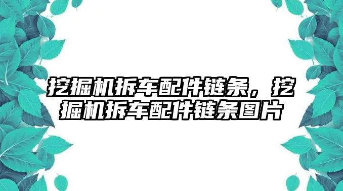 挖掘機拆車配件鏈條，挖掘機拆車配件鏈條圖片