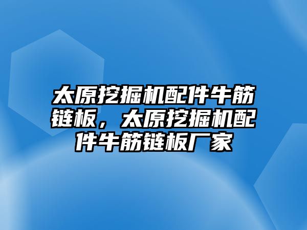 太原挖掘機配件牛筋鏈板，太原挖掘機配件牛筋鏈板廠家