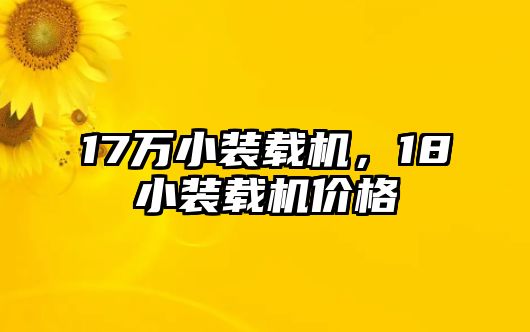 17萬小裝載機，18小裝載機價格