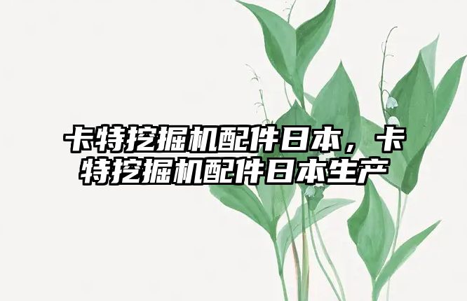 卡特挖掘機配件日本，卡特挖掘機配件日本生產