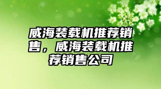 威海裝載機推薦銷售，威海裝載機推薦銷售公司