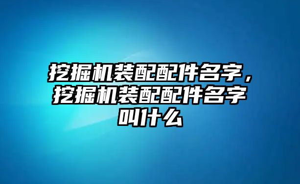 挖掘機裝配配件名字，挖掘機裝配配件名字叫什么