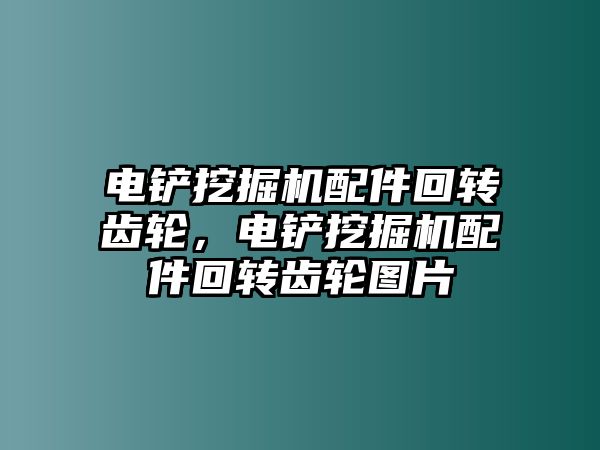 電鏟挖掘機配件回轉齒輪，電鏟挖掘機配件回轉齒輪圖片