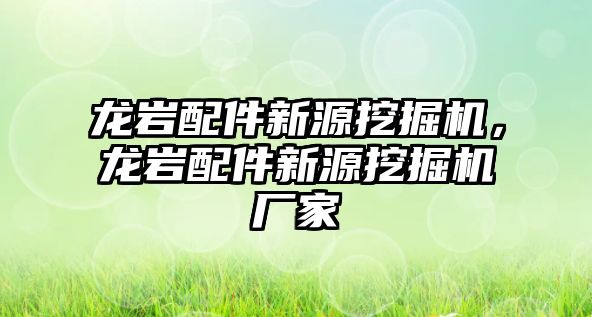 龍巖配件新源挖掘機，龍巖配件新源挖掘機廠家