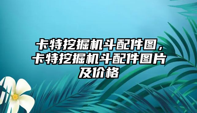 卡特挖掘機斗配件圖，卡特挖掘機斗配件圖片及價格