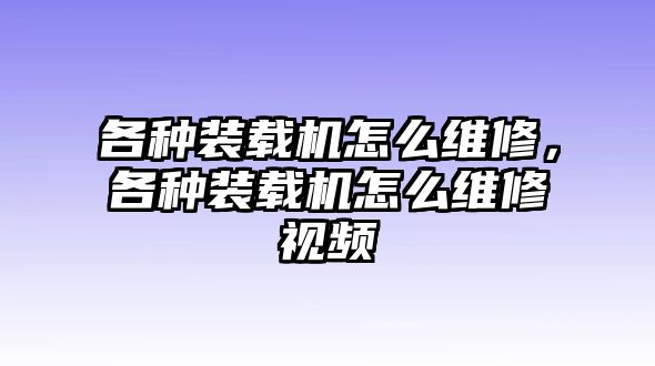 各種裝載機怎么維修，各種裝載機怎么維修視頻