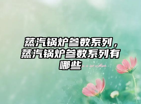 蒸汽鍋爐參數(shù)系列，蒸汽鍋爐參數(shù)系列有哪些