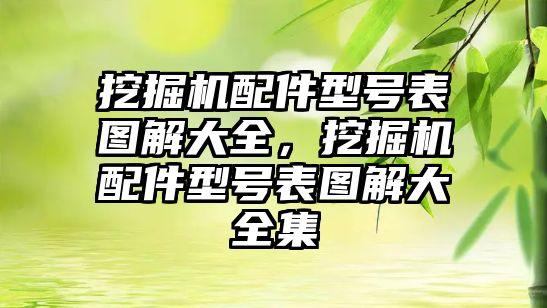 挖掘機配件型號表圖解大全，挖掘機配件型號表圖解大全集