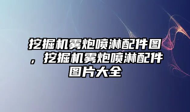 挖掘機霧炮噴淋配件圖，挖掘機霧炮噴淋配件圖片大全