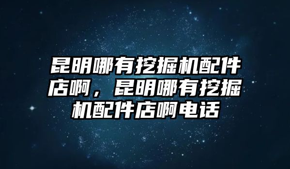 昆明哪有挖掘機(jī)配件店啊，昆明哪有挖掘機(jī)配件店啊電話(huà)