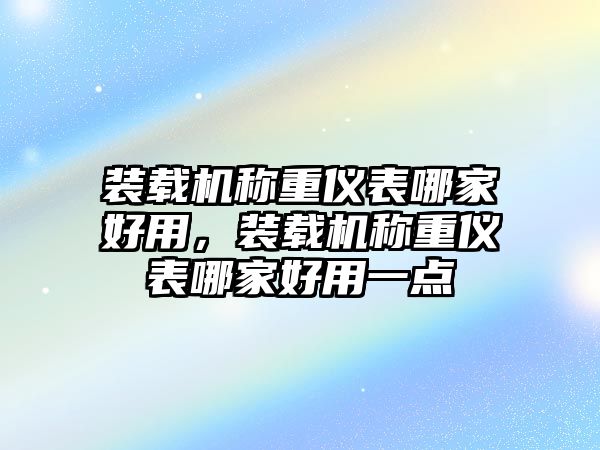 裝載機稱重儀表哪家好用，裝載機稱重儀表哪家好用一點