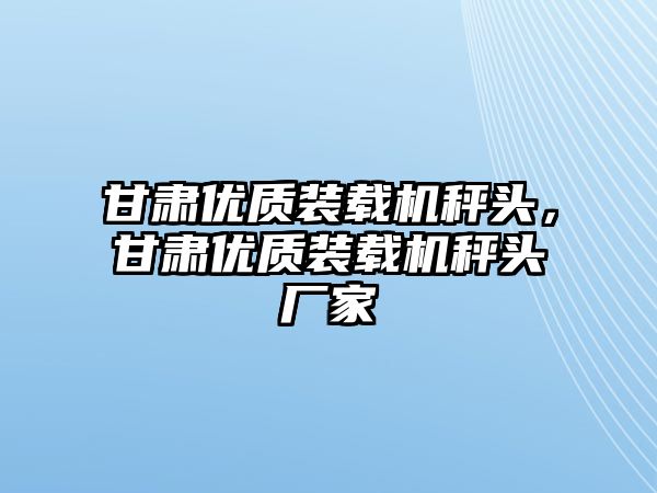 甘肅優(yōu)質(zhì)裝載機秤頭，甘肅優(yōu)質(zhì)裝載機秤頭廠家