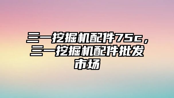 三一挖掘機配件75c，三一挖掘機配件批發市場