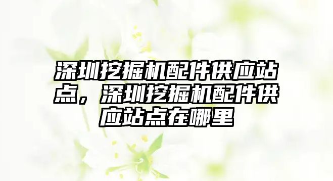 深圳挖掘機配件供應站點，深圳挖掘機配件供應站點在哪里