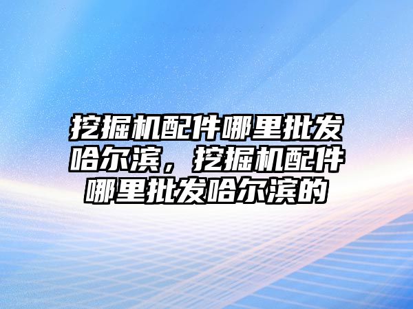 挖掘機配件哪里批發(fā)哈爾濱，挖掘機配件哪里批發(fā)哈爾濱的