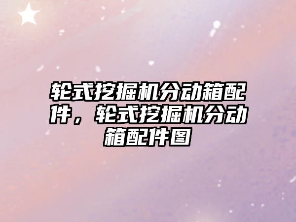 輪式挖掘機分動箱配件，輪式挖掘機分動箱配件圖